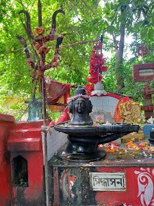 Bhiringi, Benachity