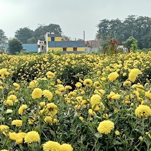Cumbum