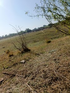 Sikarra