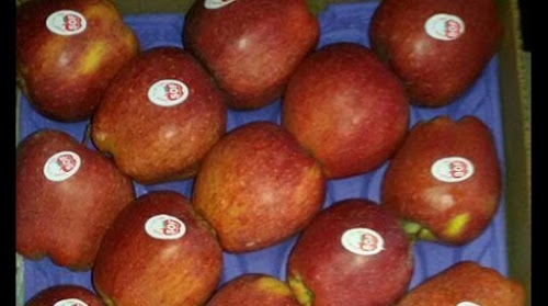 SHOPIAN ORCHARD FRESH