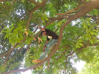 Belahar, Mainpuri