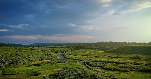 Hasanpur