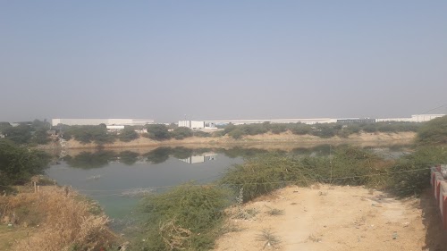 Bol gam
