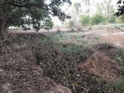Katiya