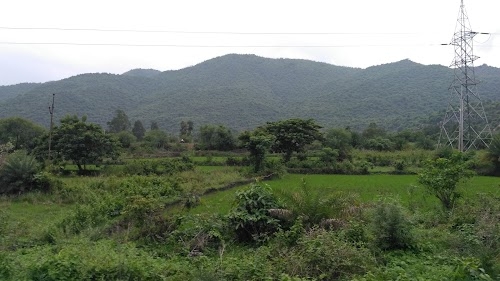 Solari Hill