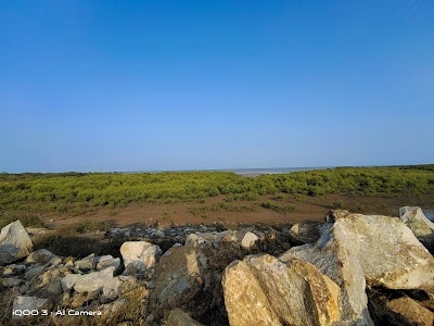Chudamuni light house mud road