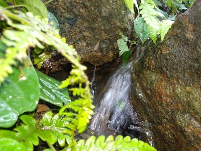 Athugaon
