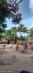 Aakhada chhaka