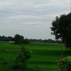 Nazirpur