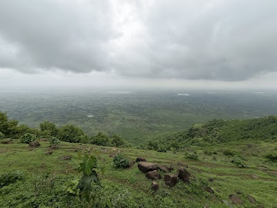 Nimadi