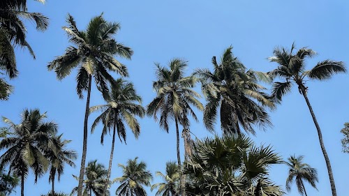 Tropical beach