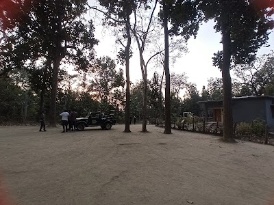 Kanha kisli Safari