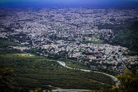 Halduchaur