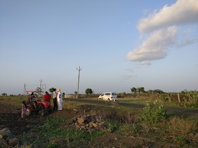 Sundarban Farm