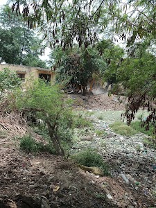 pond