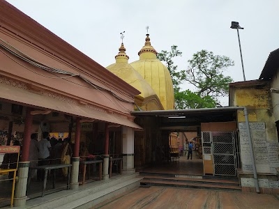 Bargabhima Mandir
