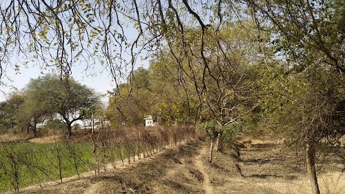 Lala Hardik Mandir