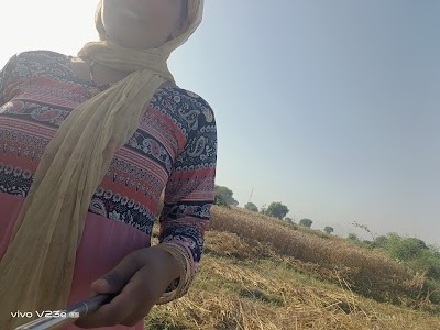 Auraiya