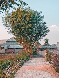 Dharamsal Mahaintan