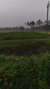 Laxmipur Ekdanga