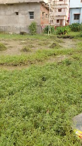 देवी स्थान मंझनपुरा