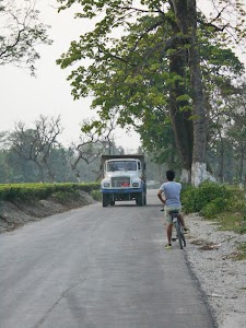 Jaybirpara Tea Garden