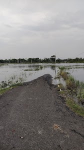 Kharauna