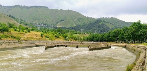 Pahlipora