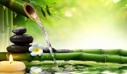 r-Ayurveda