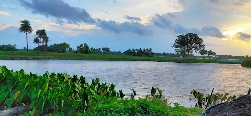 Madarna