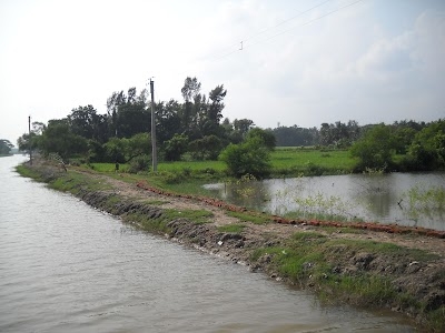 Balisai