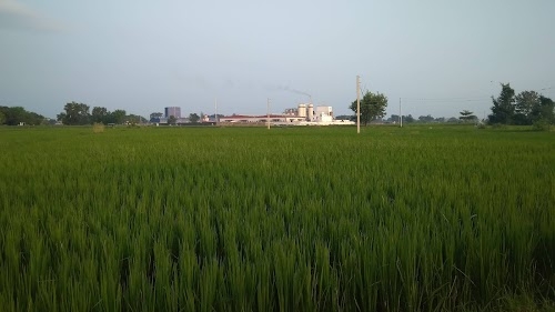 Tigers Brewery Industries Pvt. Ltd.