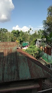 Goria