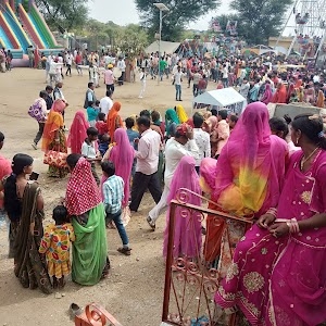Amliyar Dhanin Pull Bus Stop