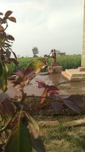 Jasram