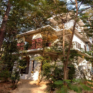 DAK-BUNGALOW, Kanha-Kisli National Park, Madhya Pradesh.
