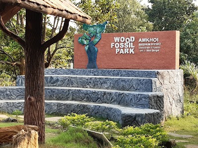 Ilambazar Wood Fossil Park