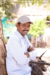 Chaubari
