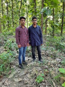Dewan Parsa