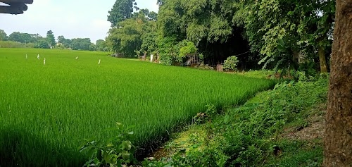 Mathura