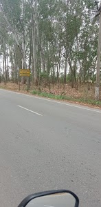 Purani Bassi