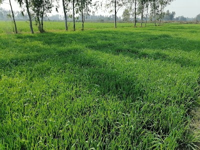 Rampura