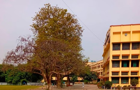 Prabhat tara school
