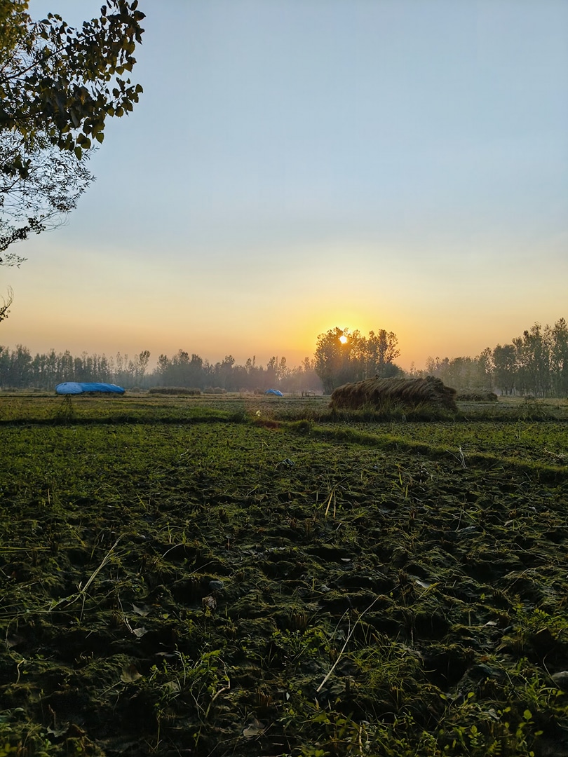 Chinar Bagh Cricket Ground