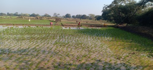 Bilipada