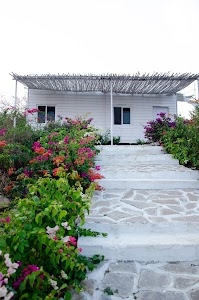 Rustic Vogue