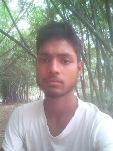 Joykrishnapur
