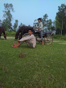 Gilli Danda Ground Sikri