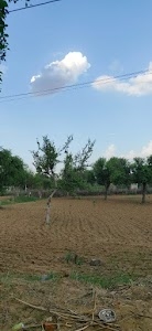 LAXMAN RAM KUMAWAT(TUTWARIYA)