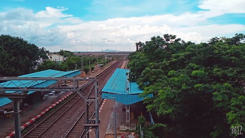 Lingaraj Temple Road